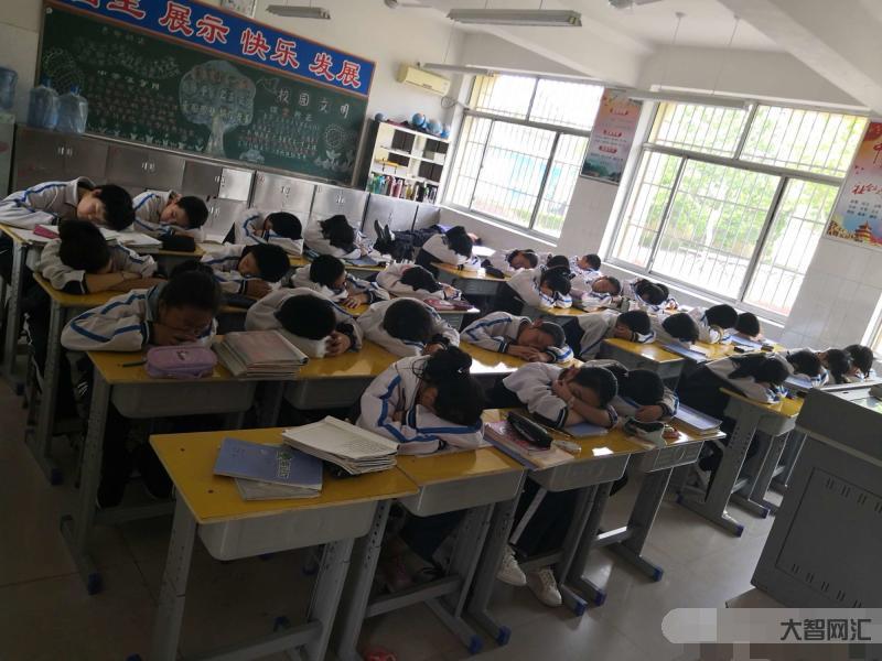东莞学生午休收费事件调查报告-学生午休收费调查结果-大智网汇