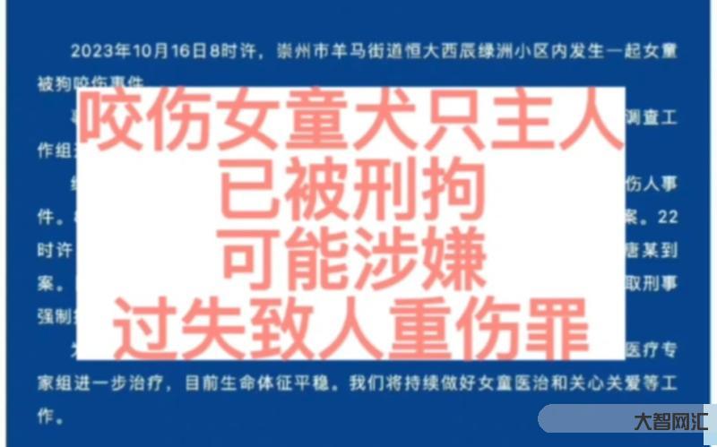 咬伤女童黑狗的主人被刑拘,引发社会关注-关注儿童安全,警惕黑狗伤人事件-大智网汇