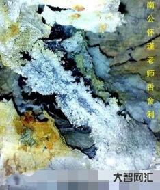南怀瑾舍利 南怀瑾舍利