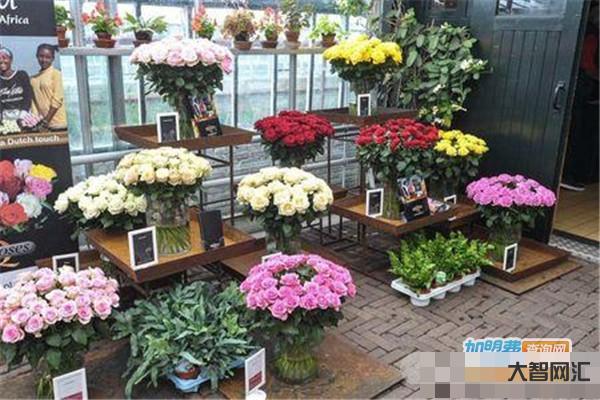 鲜花店投资大概多少钱-开一家花店究竟要多少钱?-大智网汇