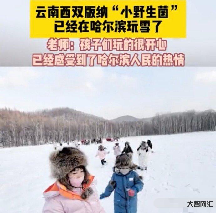 “砂糖橘”继续勇闯哈尔滨-11个小砂糖橘勇闯哈尔滨火了,费用曝光。家长:费用不贵很放心。 “砂糖橘”继续勇闯哈尔滨-11个小砂糖橘勇闯哈尔滨火了,费用曝光。家长:费用不贵很放心。