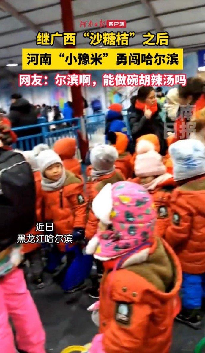 “砂糖橘”继续勇闯哈尔滨-11个小砂糖橘勇闯哈尔滨火了,费用曝光。家长:费用不贵很放心。-大智网汇