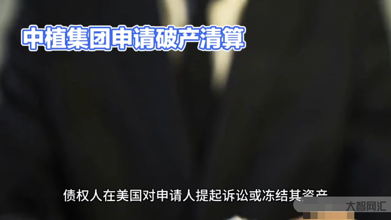 中植集团破产清算偿债有望提速-中植集团破产清算 偿债有望提速!!!-大智网汇