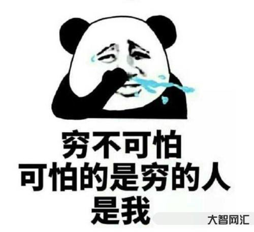 广西的朋友们怎么不笑了-笑不活了!广西文旅橘长炫柑,一句“ding”致广西半天未敢出省! 广西的朋友们怎么不笑了-笑不活了!广西文旅橘长炫柑,一句“ding”致广西半天未敢出省!