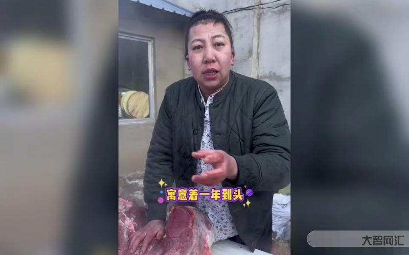 东北雨姐带你沉浸式体验大东北-听了东北雨姐这首背景音乐,感觉全身有使不完的劲???-大智网汇