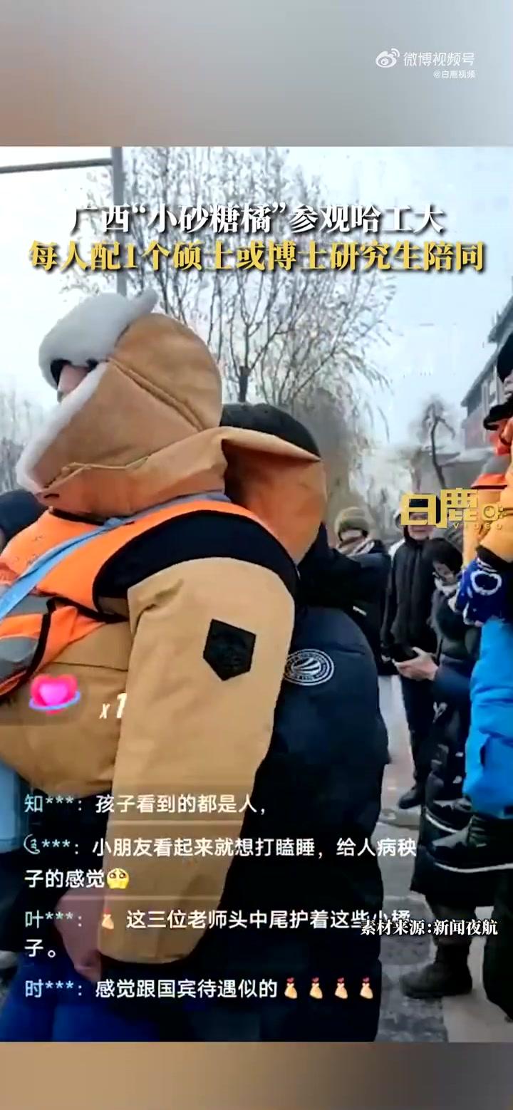 哈工大学霸1对1喂“小砂糖橘”吃饭-哈工大学霸1对1喂“小砂糖橘”吃饭,温暖传递正能量-大智网汇