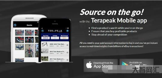 Terapeak: A Comprehensive Guide to Its Features and Benefits-大智网汇