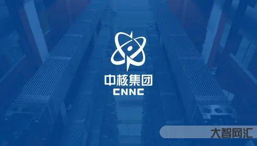 中国同辐股份有限公司:中国核技术应用的领军者-大智网汇