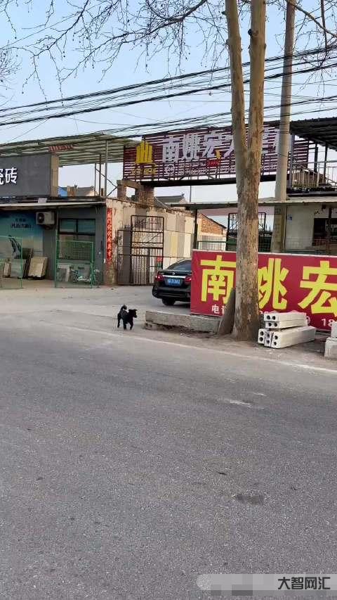网购迪士尼套餐最终民警护送入园-网购迪士尼套餐最终民警护送入园,女子称遭网店欺诈威胁 网购迪士尼套餐最终民警护送入园-网购迪士尼套餐最终民警护送入园,女子称遭网店欺诈威胁