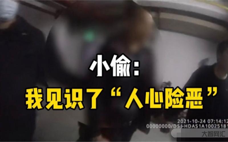 小偷盗车后卖给车主-两男子盗窃一辆电动车,销赃时竟卖给车主,民警:车物归原主-大智网汇