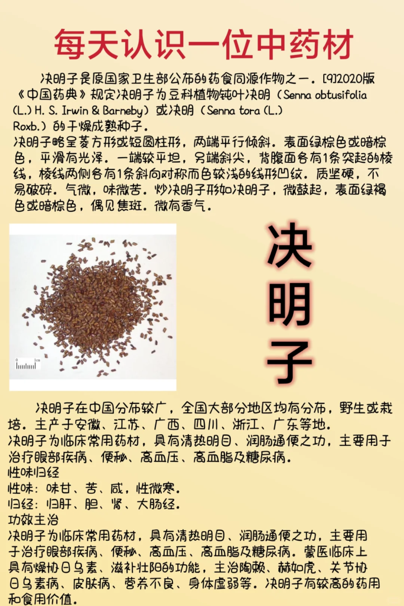 决明子的功效与作用全解析-决明子的养生功效与科学验证 决明子的功效与作用全解析-决明子的养生功效与科学验证