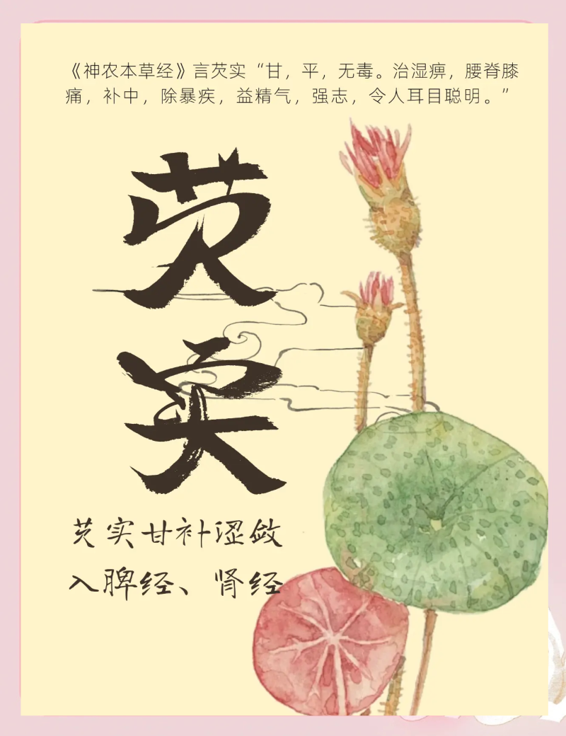 芡实的作用与功效详解-芡实的营养价值与健康益处-大智网汇