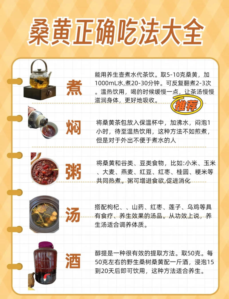 桑黄的功效与作用详解-桑黄的药用价值及健康益处-大智网汇