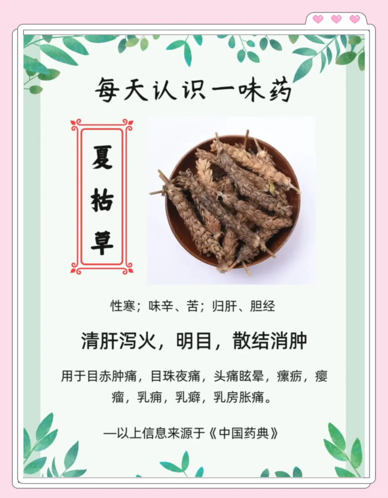夏枯草的功效与作用详解-夏枯草的药用价值及健康功效 夏枯草的功效与作用详解-夏枯草的药用价值及健康功效