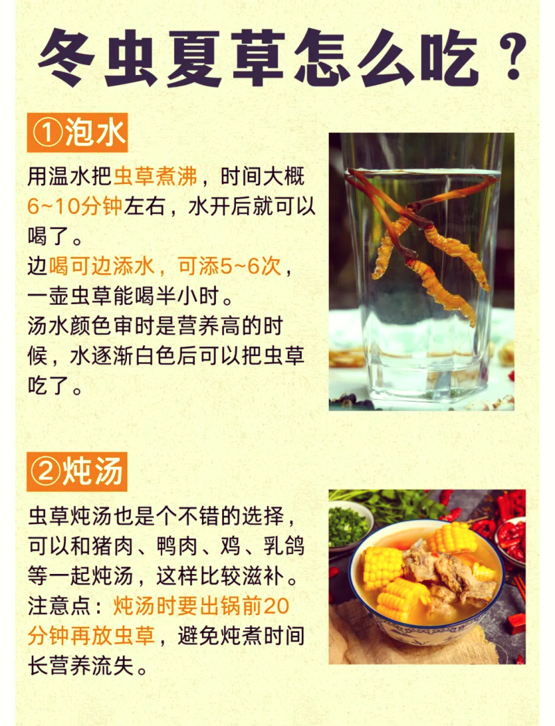 虫草的功效与作用及营养解析-虫草的营养价值和健康功效详解 虫草的功效与作用及营养解析-虫草的营养价值和健康功效详解