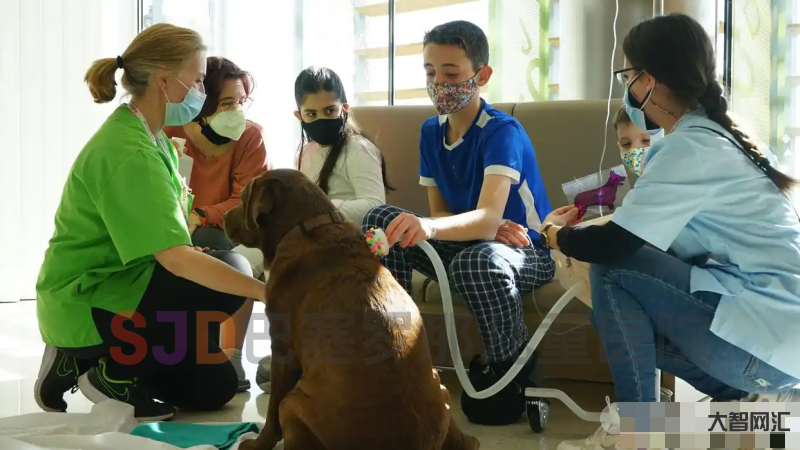 社区无人宠物护理:智能服务新体验-社区无人宠物护理系统如何改变养宠生活-大智网汇