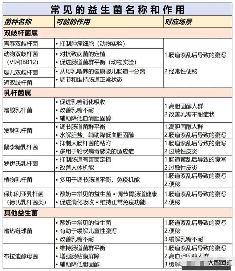 益生菌的作用与功效详解-益生菌如何改善肠道健康和免疫力-大智网汇