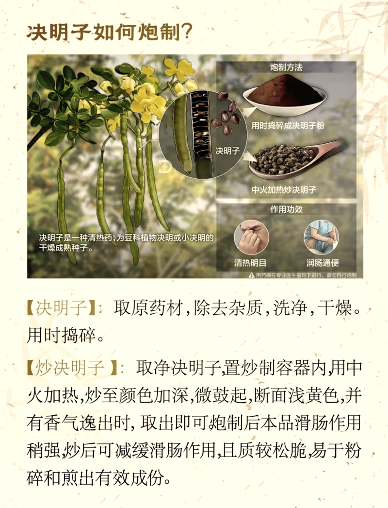 决明子的功效与作用全解析-决明子的养生功效与科学验证 决明子的功效与作用全解析-决明子的养生功效与科学验证