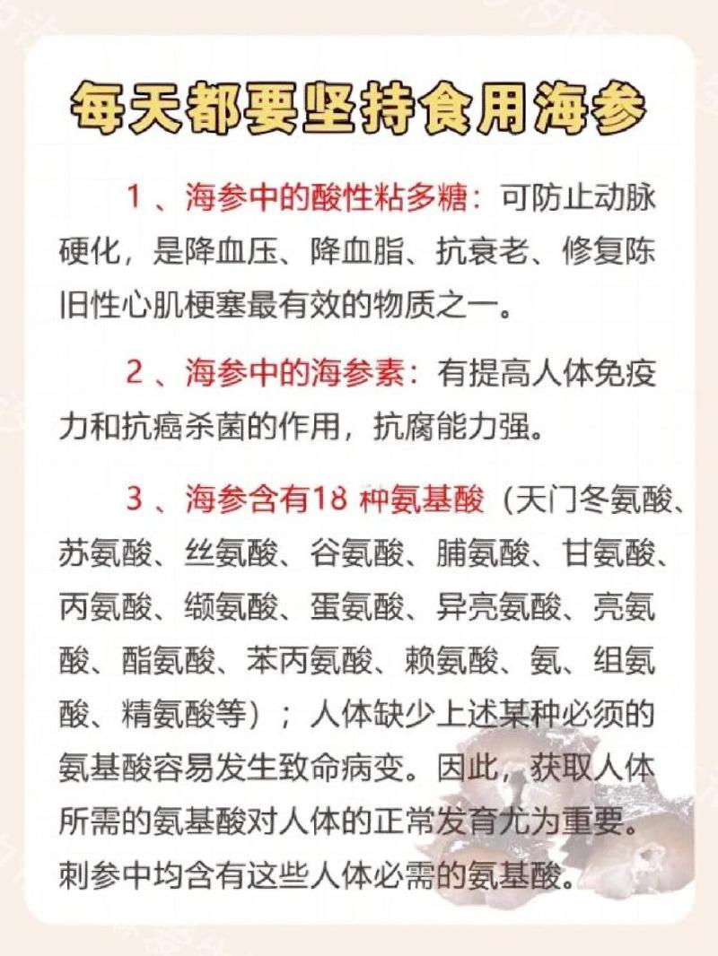 海参的功效与作用全解析-海参的营养价值和健康益处有哪些-大智网汇