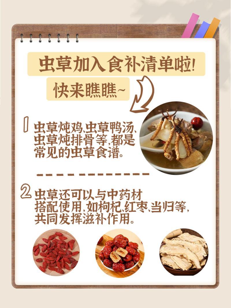 虫草的功效与作用及营养解析-虫草的营养价值和健康功效详解-大智网汇