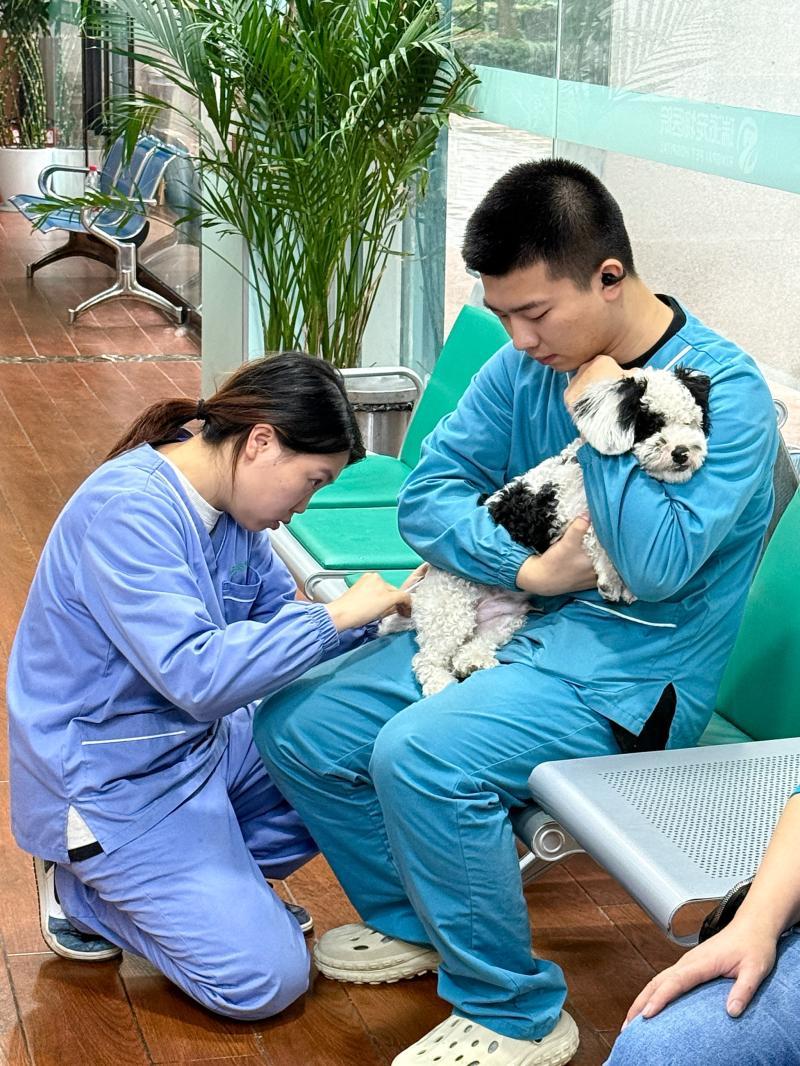 社区无人宠物护理:智能服务新体验-社区无人宠物护理系统如何改变养宠生活 社区无人宠物护理:智能服务新体验-社区无人宠物护理系统如何改变养宠生活