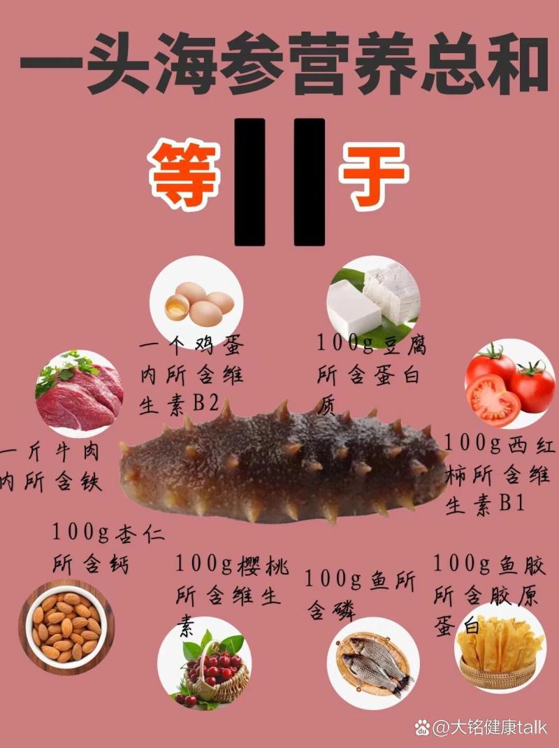 海参的功效与作用全解析-海参的营养价值和健康益处有哪些 海参的功效与作用全解析-海参的营养价值和健康益处有哪些