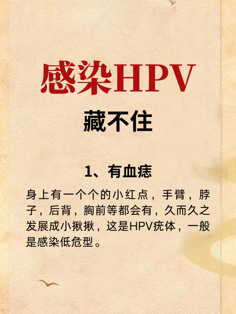HPV6感染风险:舔了女生下面会传染吗?-HPV6传播途径与女性感染风险分析-大智网汇
