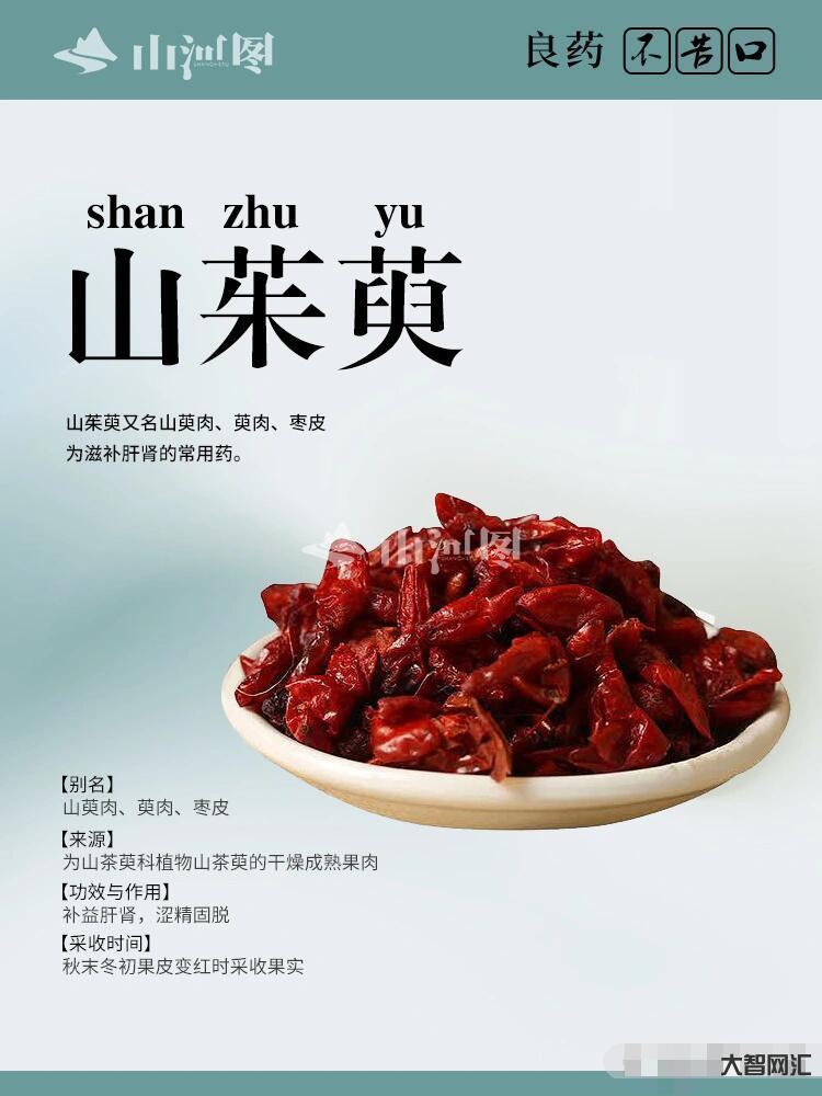 山茱萸的功效与作用详解-山茱萸的药用价值及日常应用 山茱萸的功效与作用详解-山茱萸的药用价值及日常应用