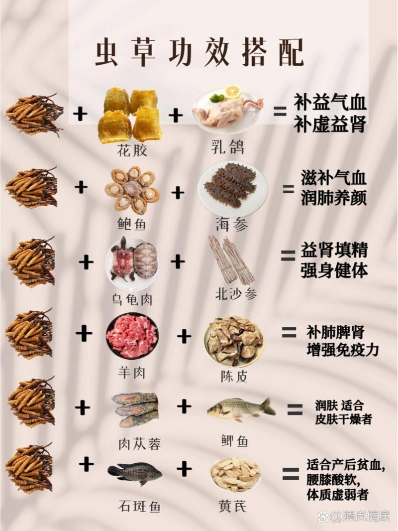 虫草的功效与作用及营养解析-虫草的营养价值和健康功效详解 虫草的功效与作用及营养解析-虫草的营养价值和健康功效详解