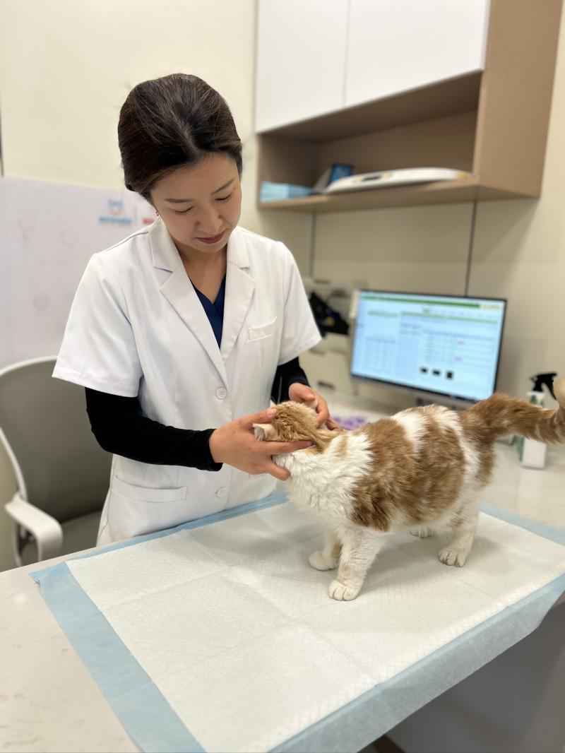 社区无人宠物护理:智能服务新体验-社区无人宠物护理系统如何改变养宠生活 社区无人宠物护理:智能服务新体验-社区无人宠物护理系统如何改变养宠生活